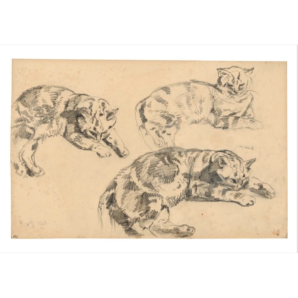 Postcard Delacroix - Three Studies of Reclining Cats