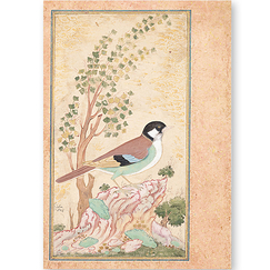 Carte postale "Oiseau sur un rocher"