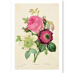 Postcard Redouté - Rose, Anemone, Clematis