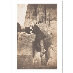 Carte postale "Victor Hugo devant le rocher des Proscrits"