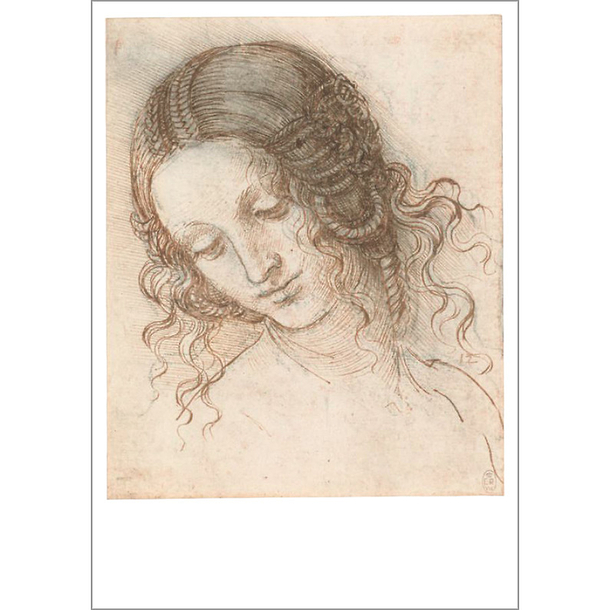 Carte postale Vinci - Etude de tête