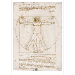 Postcard da Vinci - The Vitruvian Man