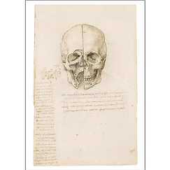 Vinci Postcard - Studies of human skull