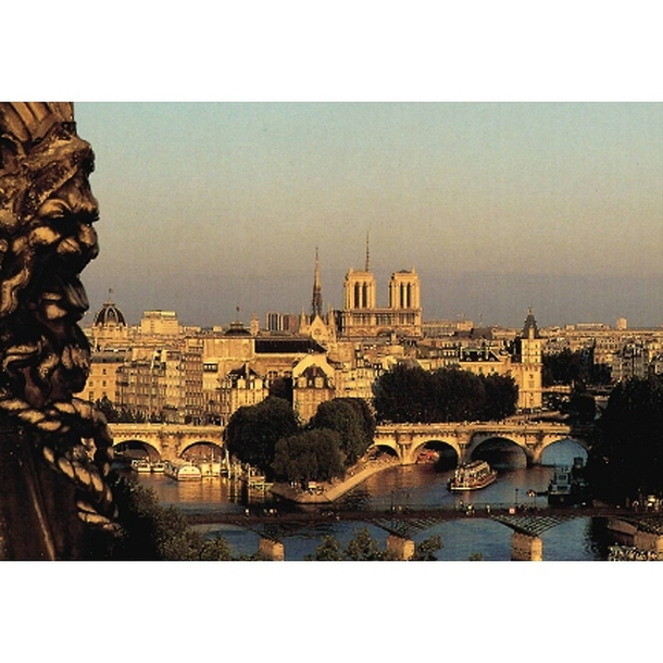 Carte postale "L'Ile de la Cité et la cathédrale Notre-Dame depuis les toits du Louvre"