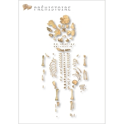 Carte postale "Squelette de nouveau-né du Moustier"