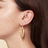 Laurel leaf Earrings