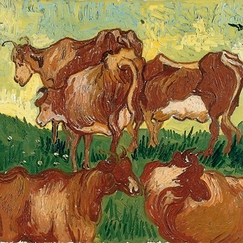 Van Gogh postcard - The Cows (after Gachet, after Jordaens)