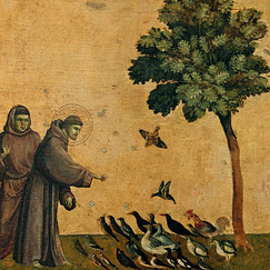 Carte postale carrée "Prédelle du rétable de Saint François d'Assise recevant les stigmates : Saint François prêchant aux oiseaux (détail)"
