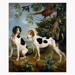 Desportes Postcard - Pompée and Florissant, Louis XV's Dogs