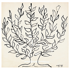 Postcard Matisse - Tree, Nice