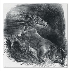 Postcard Delacroix - Wild Horse, or Frightened Horse Leaving the Water
