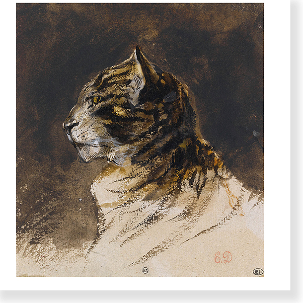 Carte postale carrée "Delacroix - Tête de chat"