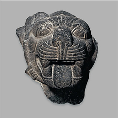 Head of lion Squared Postcard