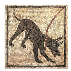 Postcard Pompeii - Mosaic of a Dog