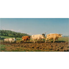 Postcard Bonheur - Ploughing in the Nivernais