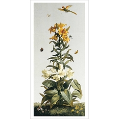 Postcard Palace of Compiègne - The Flowers Salon: lys and giant crinum 