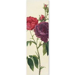 Bookmark Redouté - Rosa gallica (purpuraviolacea magna)