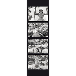 Renoir bookmark "Sylvia Bataille in Partie de campagne"
