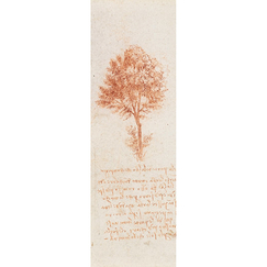 Bookmark "Vinci - Isolated tree"