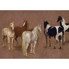 Carte postale Van der Meulen - Étude de cinq chevaux
