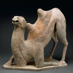 Carte postale - Mingqi représentant un chameau se relevant