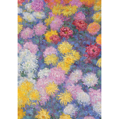 Monet Postcard - Chrysanthemums (detail), 1897