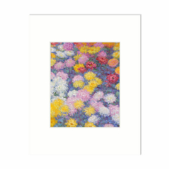 Reproduction Claude Monet - Chrysanthemums, 1897