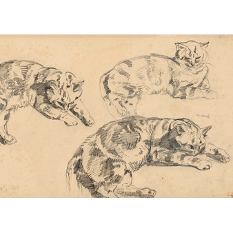 Carte postale Delacroix - Trois études de chats allongés