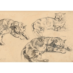 Carte postale Delacroix - Trois études de chats allongés