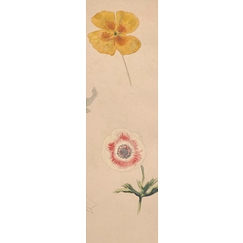 Delacroix Bookmark - Study of Flowers