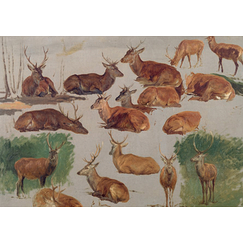 Bonheur Postcard - Studies of a stag