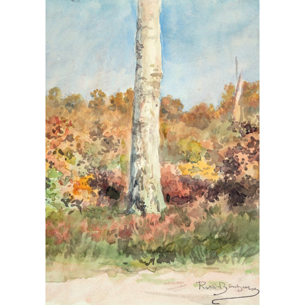 Carte postale Bonheur - Etude d'arbres. Bruyères et genêts