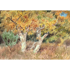 Bonheur Postcard - Autumn in forest