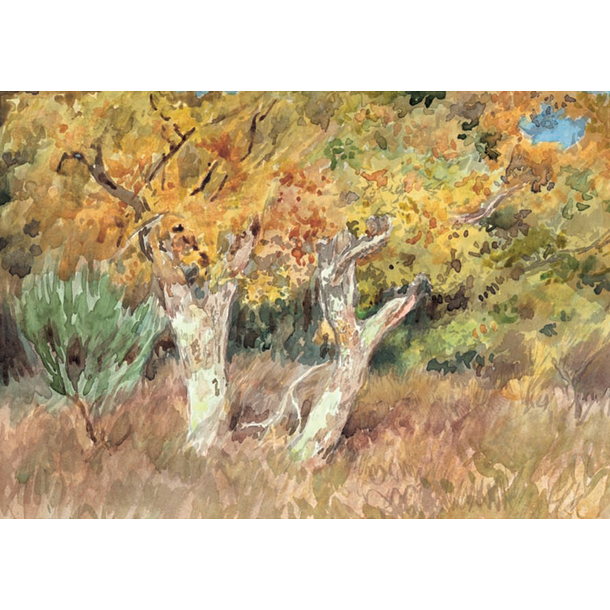 Carte postale Bonheur - L'automne en forêt