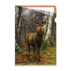 Rosa Bonheur clear file - The King of the Forest - A4