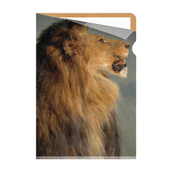 Rosa Bonheur clear file - Lion Head - A4