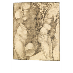 Carte postale Passerotti - Deux torses de femme d'après l'antique