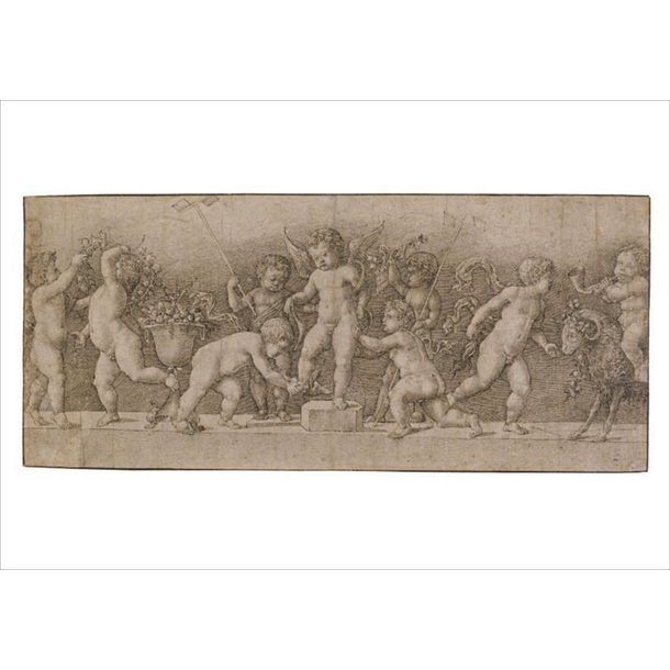 Raimondi Postcard - Fresco featuring nine Cupids playing