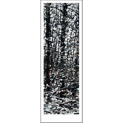Cognée Bookmark - Snowy Forest 1