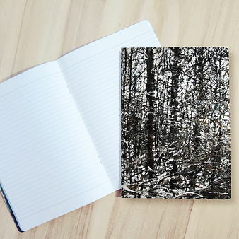 Notebook Philippe Cognée - Snowy forest 1, 2020