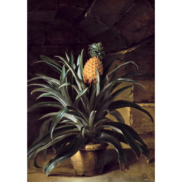 Carte postale Oudry - Ananas dans un pot