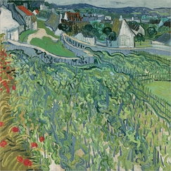 Van Gogh Postcard - Vineyards at Auvers-sur-Oise