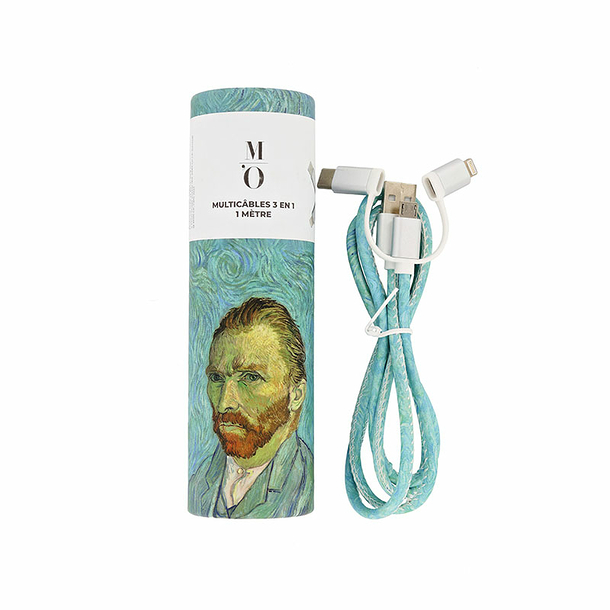 Universal charger 3 in 1 - 1 meter Vincent van Gogh - Self-portrait