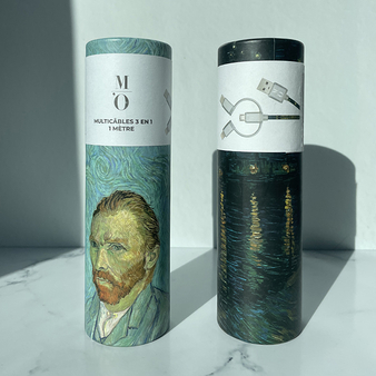 Multicâbles 3 en 1 - 1 mètre Vincent van Gogh - Portrait de l'artiste