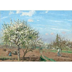 Carte postale Camille Pissarro - Verger en fleurs, 1872