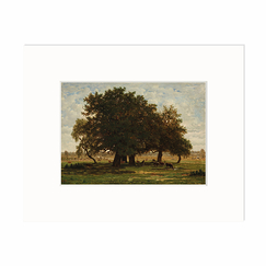 Reproduction under Marie-Louise Théodore Rousseau - Group of oaks, Apremont, Forêt Fontainebleau
