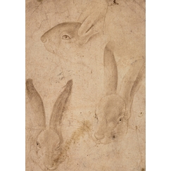 Postcard Antonio Pisanello - Three studies of rabbit heads in profile and from the front