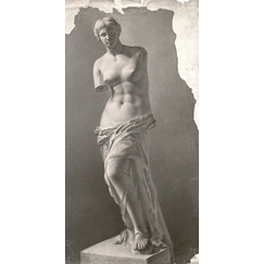 Carte postale Emile Gilliéron - Vénus de Milo, fusain d'après une copie en plâtre