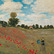 Affiche Les Coquelicots de Claude Monet