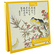 10 Notecards and envelopes Birds